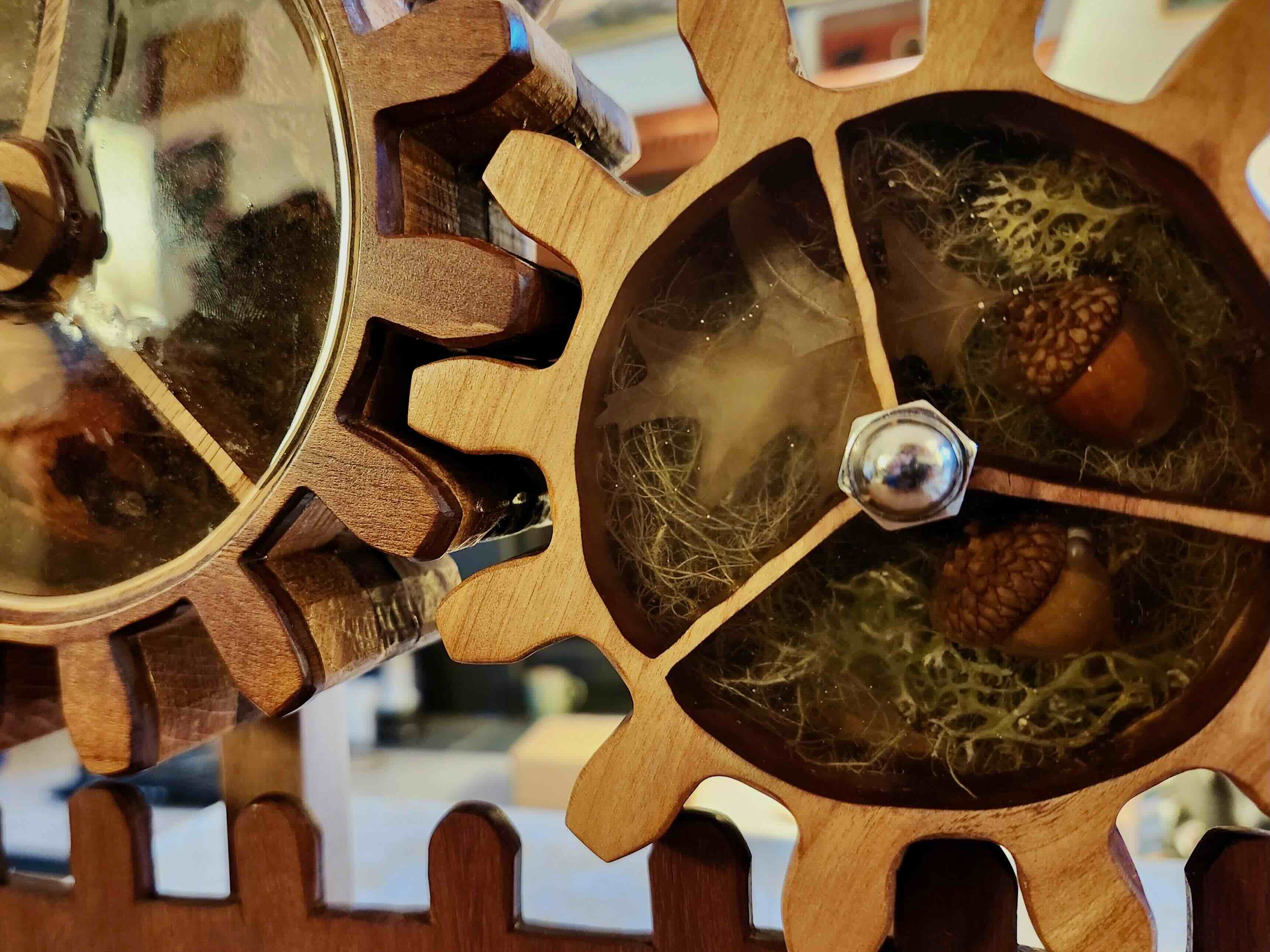 Ecology of Time by Jesse Boyes